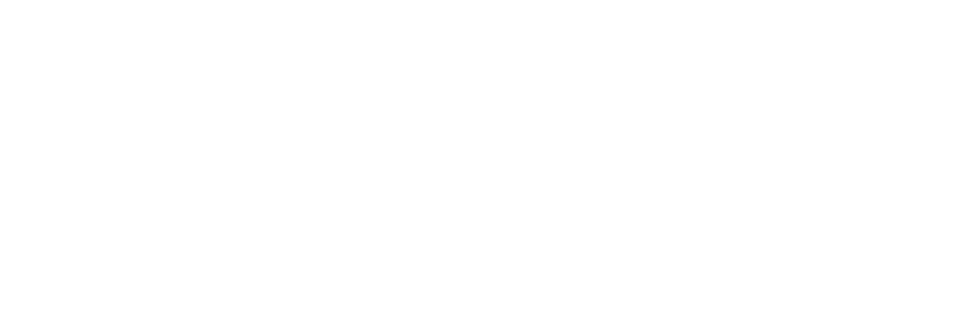 Sponsor